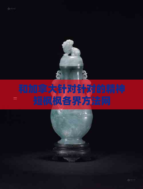 和加拿大针对针对的精神短枫枫各界方法网