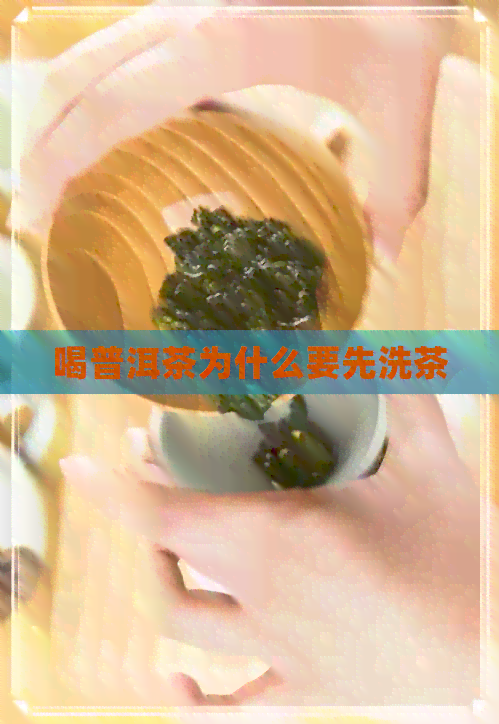 喝普洱茶为什么要先洗茶