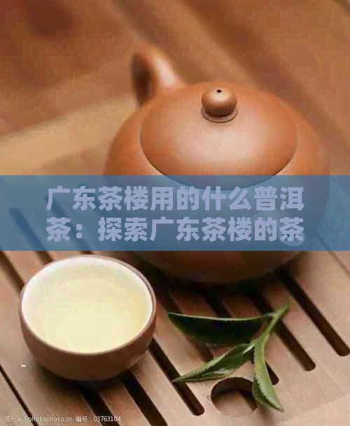 广东茶楼用的什么普洱茶：探索广东茶楼的茶叶选择