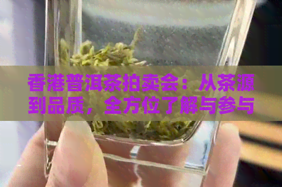 普洱茶拍卖会：从茶源到品质，全方位了解与参与