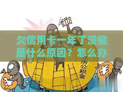 欠信用卡一年了没催是什么原因？怎么办？