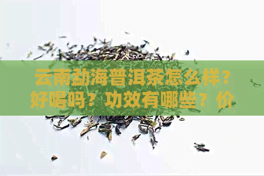 云南勐海普洱茶怎么样？好喝吗？功效有哪些？价格查询