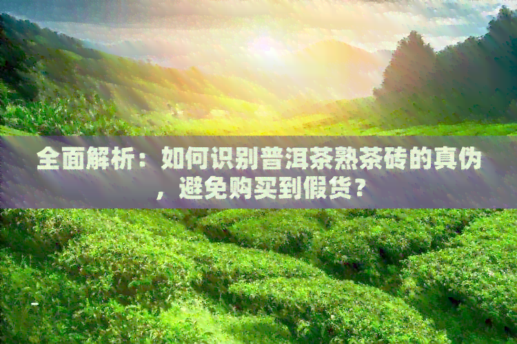 全面解析：如何识别普洱茶熟茶砖的真伪，避免购买到假货？