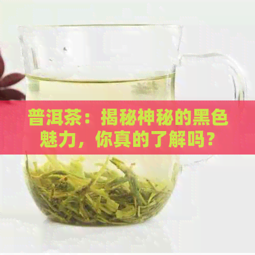 普洱茶：揭秘神秘的黑色魅力，你真的了解吗？