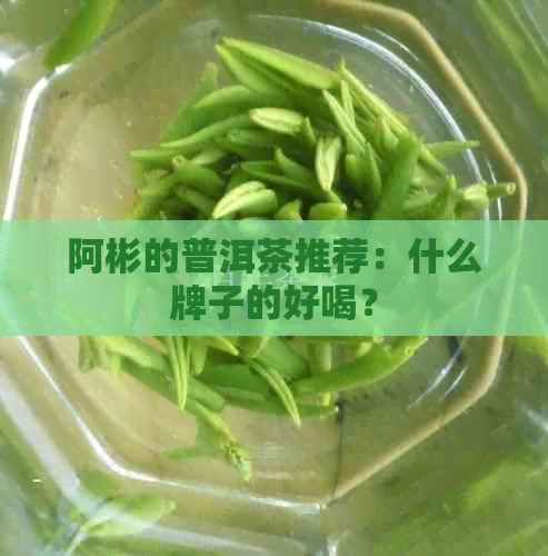 阿彬的普洱茶推荐：什么牌子的好喝？