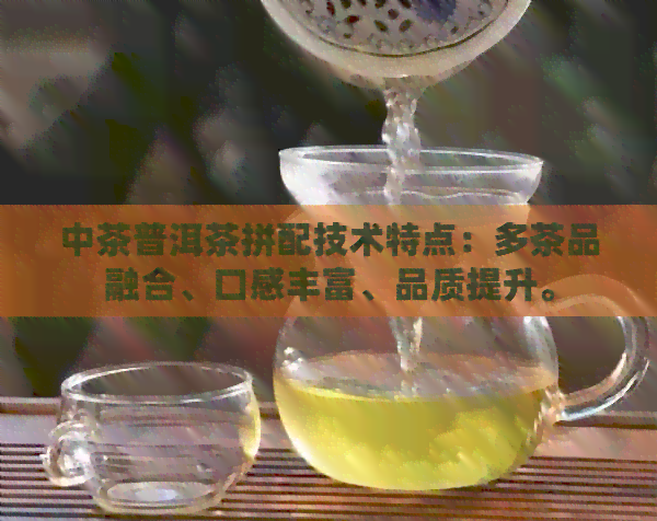 中茶普洱茶拼配技术特点：多茶品融合、口感丰富、品质提升。