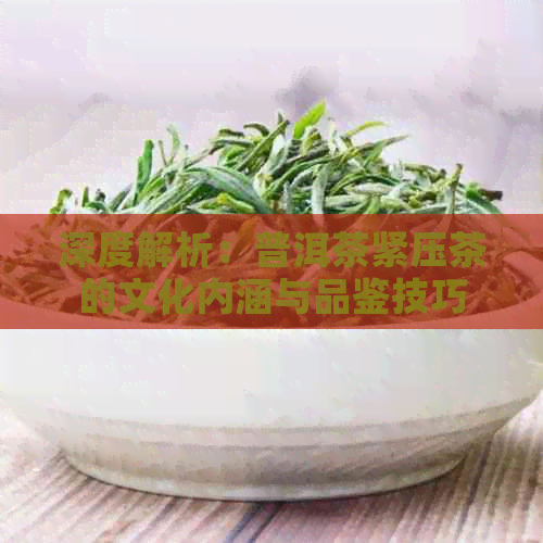 深度解析：普洱茶紧压茶的文化内涵与品鉴技巧