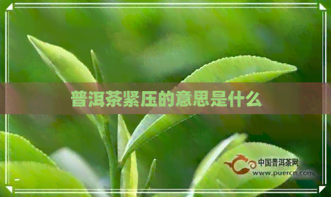 普洱茶紧压的意思是什么