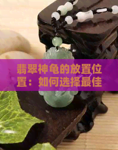 翡翠神龟的放置位置：如何选择更佳环境以及注意事项