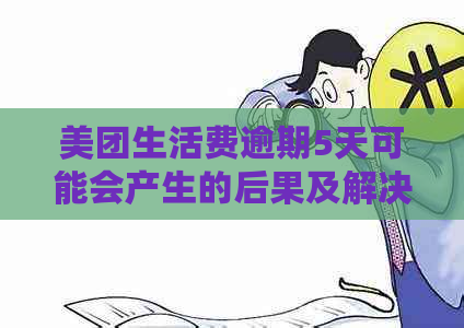 美团生活费逾期5天可能会产生的后果及解决办法，用户必看！