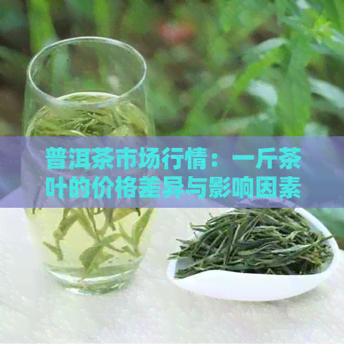 普洱茶市场行情：一斤茶叶的价格差异与影响因素分析