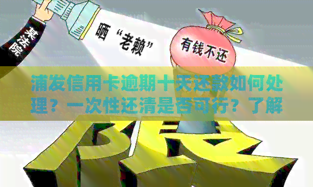 浦发信用卡逾期十天还款如何处理？一次性还清是否可行？了解详细解决方法！