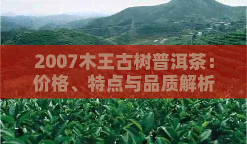 2007木王古树普洱茶：价格、特点与品质解析