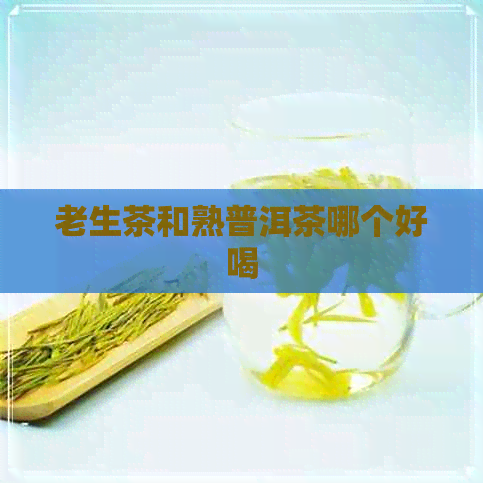 老生茶和熟普洱茶哪个好喝