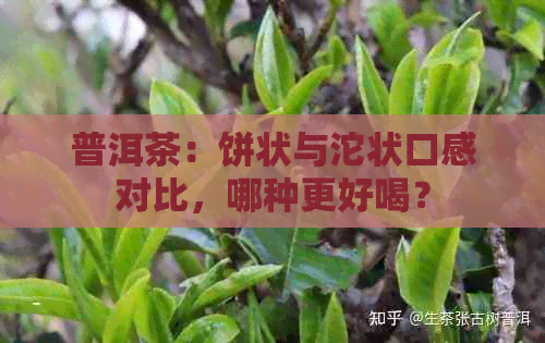 普洱茶：饼状与沱状口感对比，哪种更好喝？