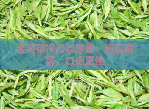 普洱茶冷泡新体验：清凉解暑，口感更佳