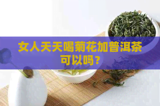 女人天天喝菊花加普洱茶可以吗？