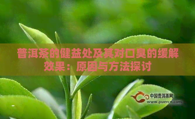 普洱茶的健益处及其对口臭的缓解效果：原因与方法探讨