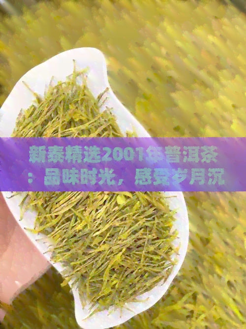 新泰精选2001年普洱茶：品味时光，感受岁月沉淀的香醇