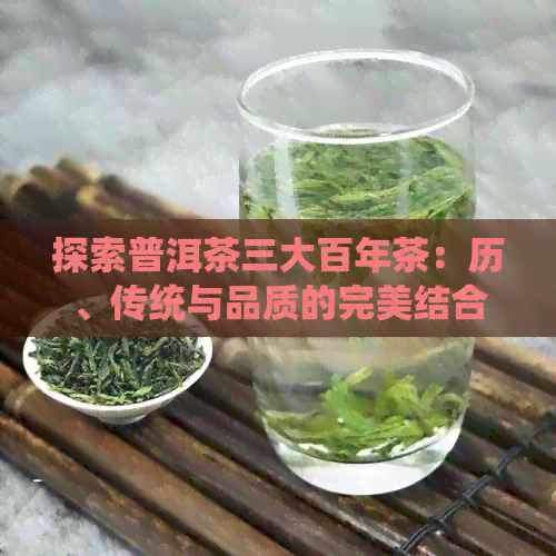 探索普洱茶三大百年茶：历、传统与品质的完美结合