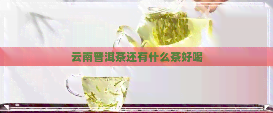 云南普洱茶还有什么茶好喝