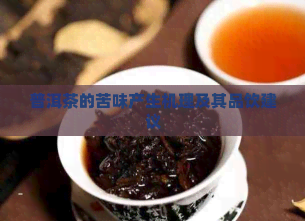 普洱茶的苦味产生机理及其品饮建议