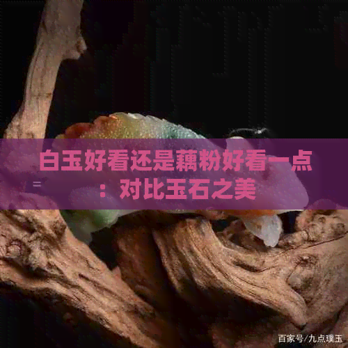 白玉好看还是藕粉好看一点：对比玉石之美