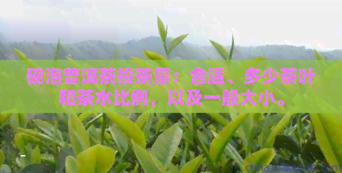 碗泡普洱茶投茶量：合适、多少茶叶和茶水比例，以及一般大小。