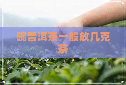 碗普洱茶一般放几克茶