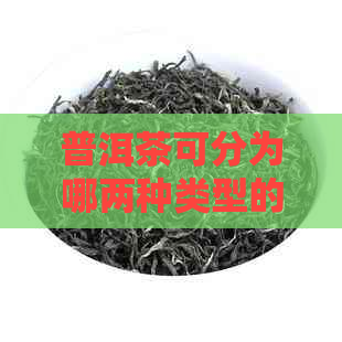 普洱茶可分为哪两种类型的-普洱茶可分为哪两种类型的茶