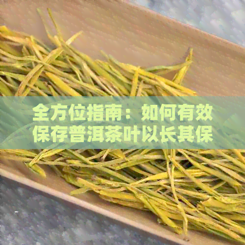 全方位指南：如何有效保存普洱茶叶以长其保质期和口感