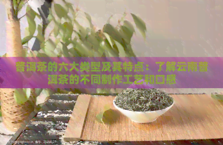 普洱茶的六大类型及其特点：了解云南普洱茶的不同制作工艺和口感