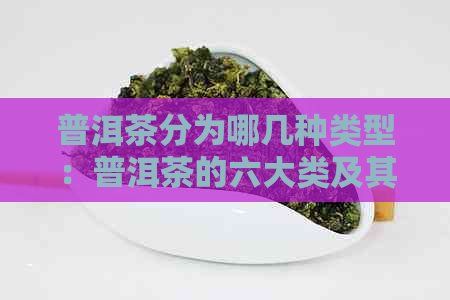 普洱茶分为哪几种类型：普洱茶的六大类及其特点