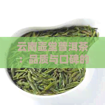 云南壶堂普洱茶：品质与口碑的双重保证，品鉴云南原产地的茶叶魅力