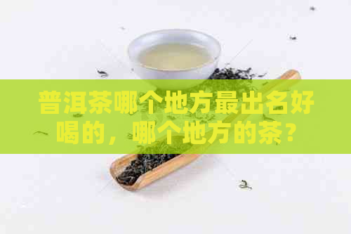 普洱茶哪个地方最出名好喝的，哪个地方的茶？