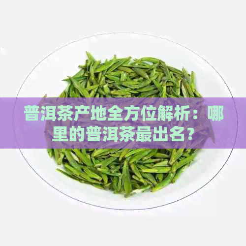 普洱茶产地全方位解析：哪里的普洱茶最出名？