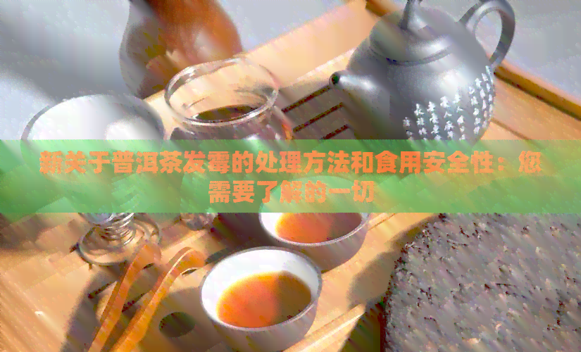 新关于普洱茶发霉的处理方法和食用安全性：您需要了解的一切