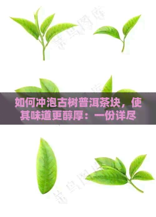 如何冲泡古树普洱茶块，使其味道更醇厚：一份详尽的冲泡指南