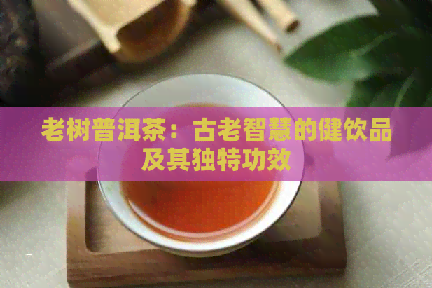 老树普洱茶：古老智慧的健饮品及其独特功效