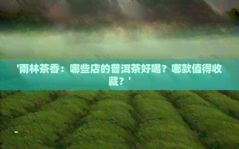 '雨林茶香：哪些店的普洱茶好喝？哪款值得收藏？'