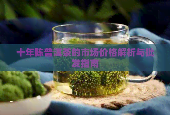 十年陈普洱茶的市场价格解析与批发指南