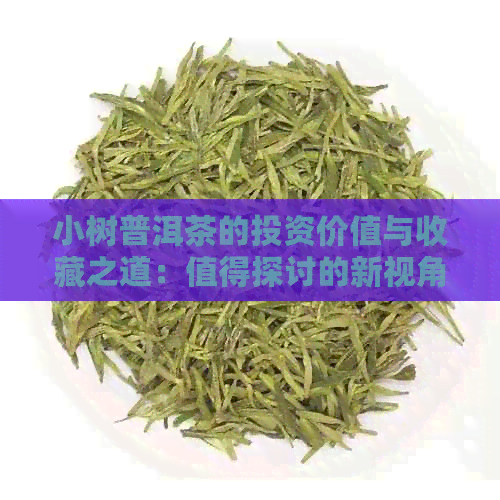 小树普洱茶的投资价值与收藏之道：值得探讨的新视角