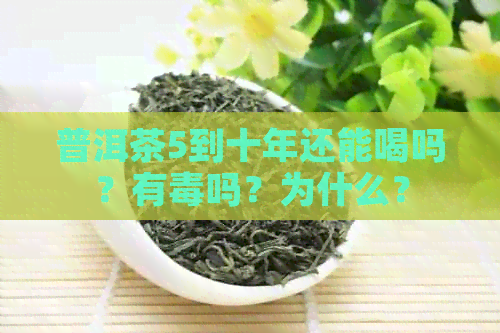 普洱茶5到十年还能喝吗？有吗？为什么？