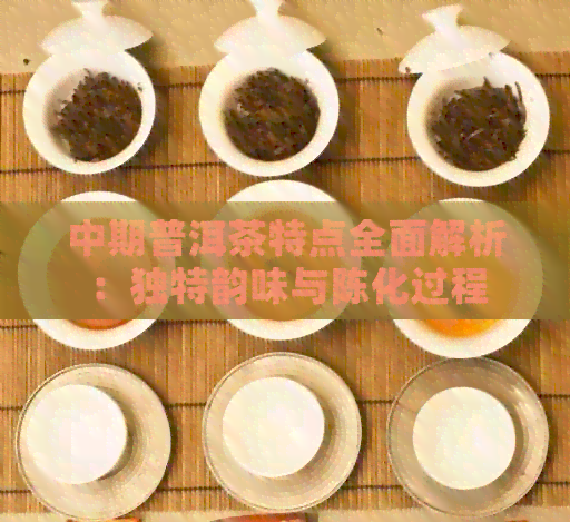 中期普洱茶特点全面解析：独特韵味与陈化过程