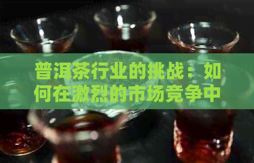 普洱茶行业的挑战：如何在激烈的市场竞争中保持盈利？