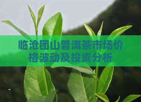 临沧团山普洱茶市场价格波动及投资分析