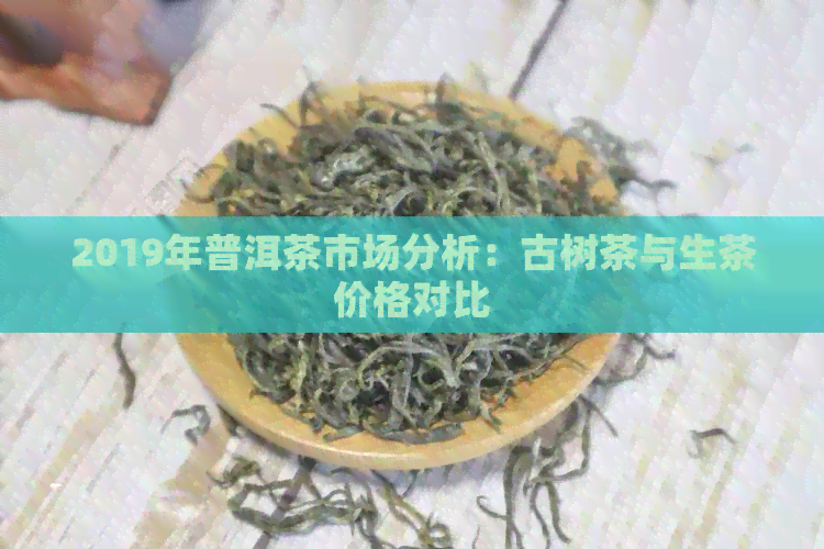 2019年普洱茶市场分析：古树茶与生茶价格对比