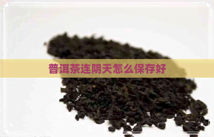 普洱茶连阴天怎么保存好