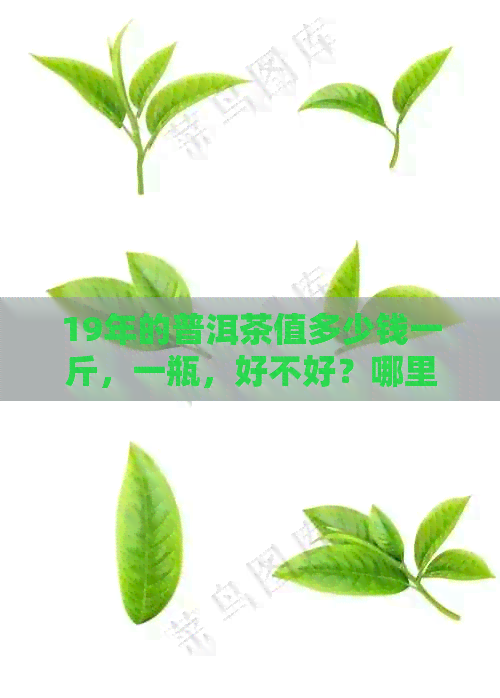 19年的普洱茶值多少钱一斤，一瓶，好不好？哪里可以收购？是否还能喝？