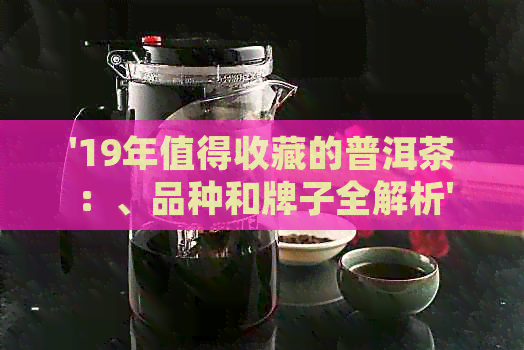 '19年值得收藏的普洱茶：、品种和牌子全解析'